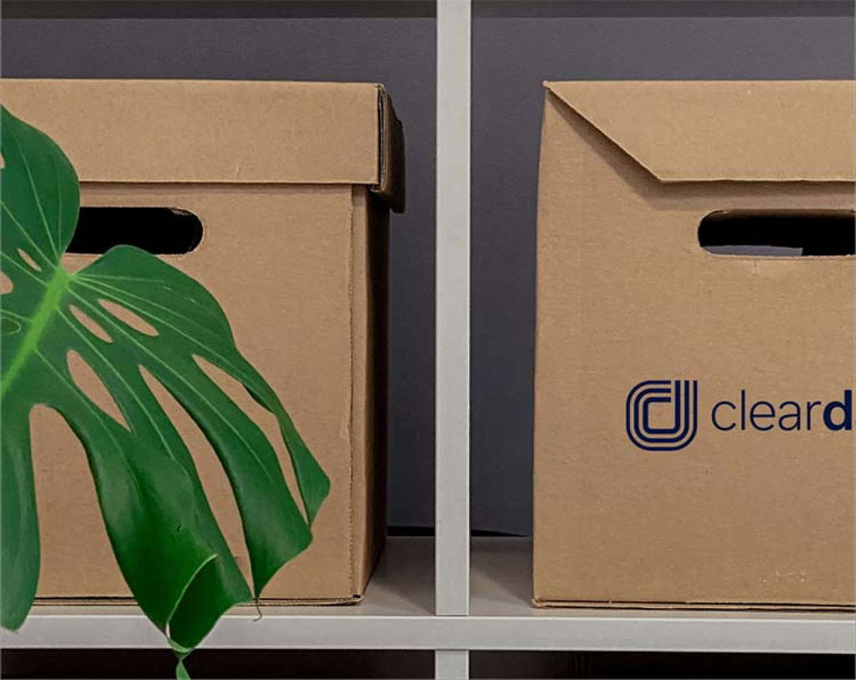 Document Collection Services